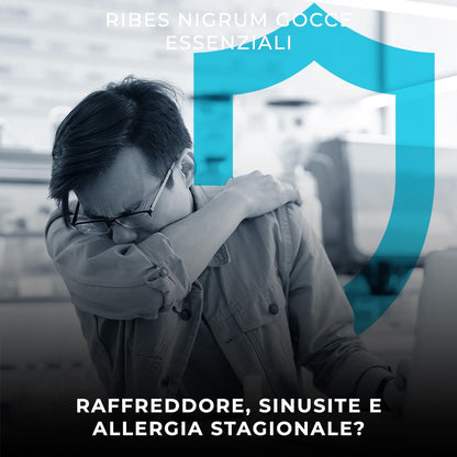 Ribes Nigrum sinusite raffreddore