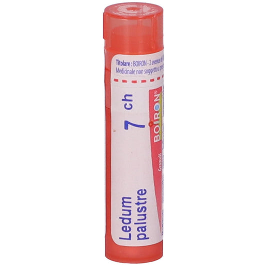 Boiron Ledum Palustre 7CH granuli omeopatici, tubo da 4 g