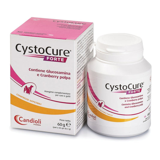 Cystocure Forte 30 chronic cystitis tablets
