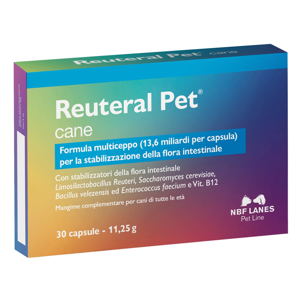 RETERO MASCOTA PERRO 30CPS