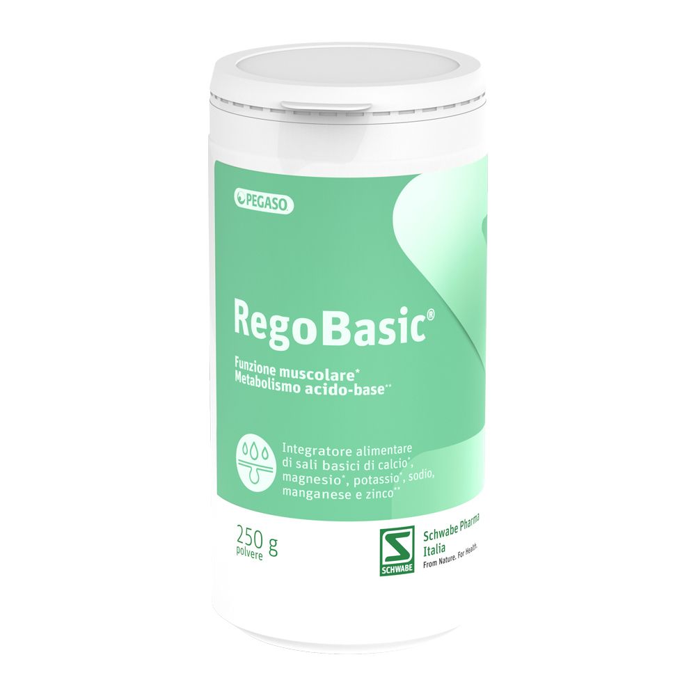 Regobasic Pulver 250 g