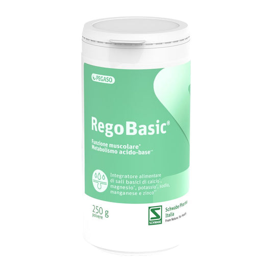 Regobasic Pulver 250 g