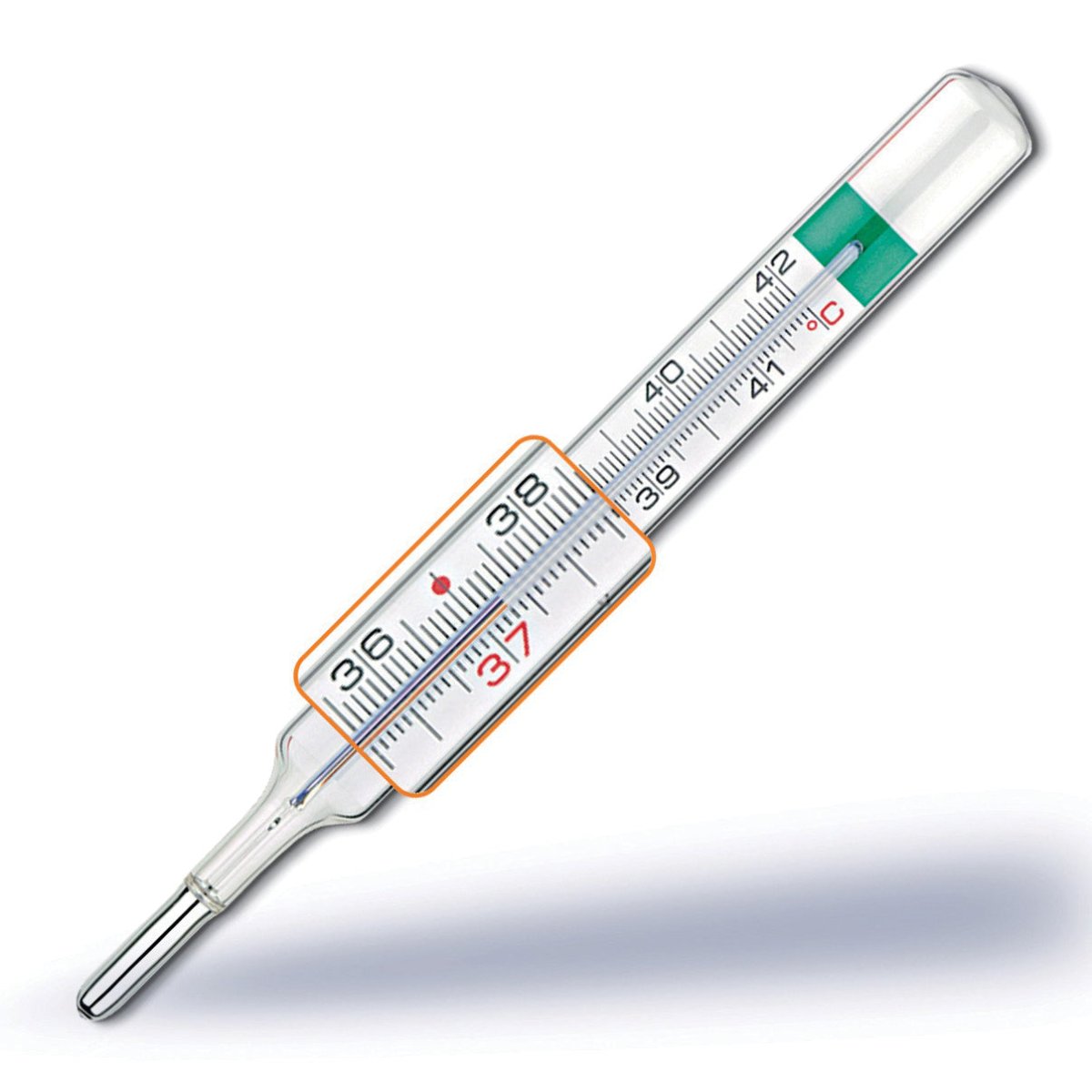 VedoEco Plus clinical gallium thermometer