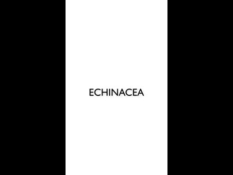 Echinacea Essenziali consigliato farmacista