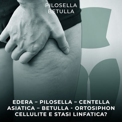 Cellulite-Flüssigkeiten ableiten