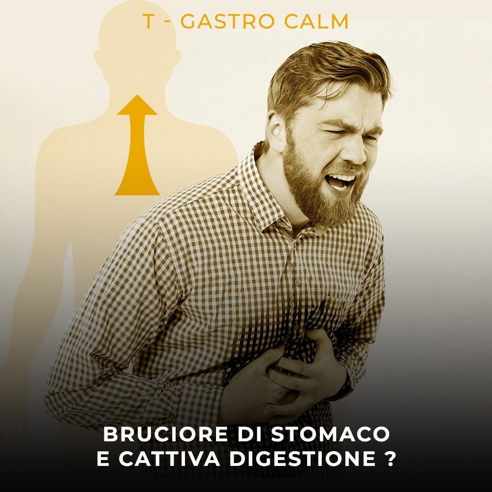 T-Gastro Calm Sirup Antacida gastroösophagealer Reflux