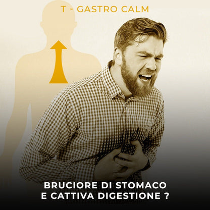 T-Gastro Calm Sirup Antacida gastroösophagealer Reflux