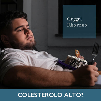 controllo colesterolo Lievito Rosso