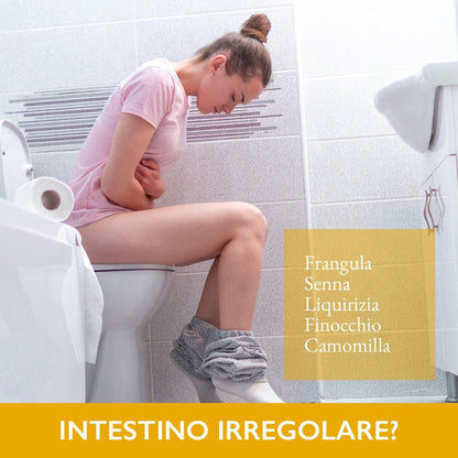  Frangula Frangula Darmregelmäßigkeit