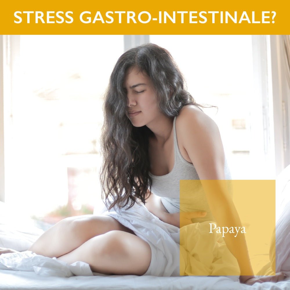Darmregulierung durch fermentierte Papaya
