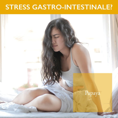 Fermentierter Papaya-Normaldarm